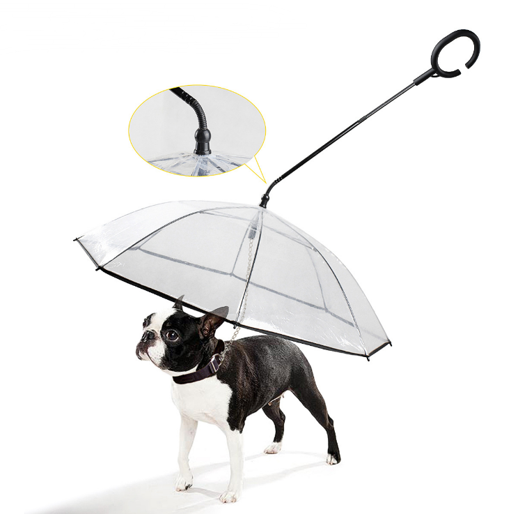 Transparent Hundparaply