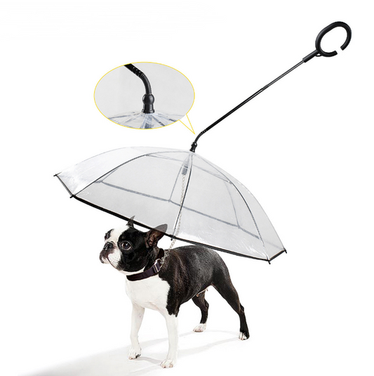 Transparent Hundparaply