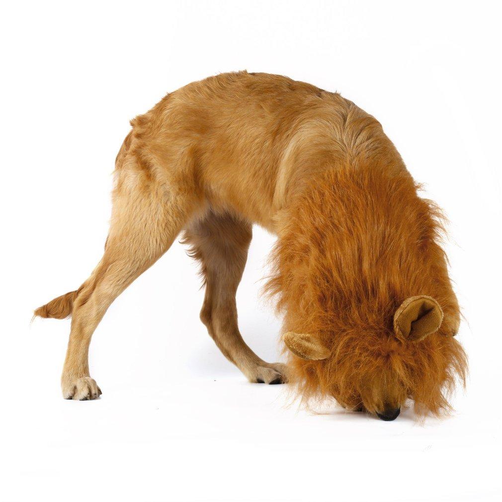 Hundperuk med Lejontema